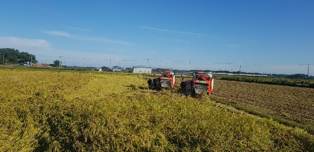 콤바인 작업현장 대표 이미지